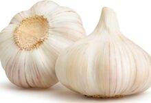 فوائد الثوم