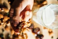 رجيم التمر واللبن