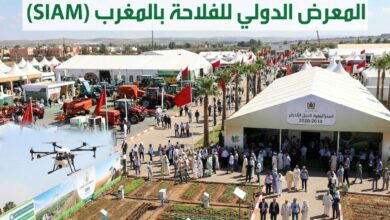 المعرض الدولي للفلاحة بمكناس