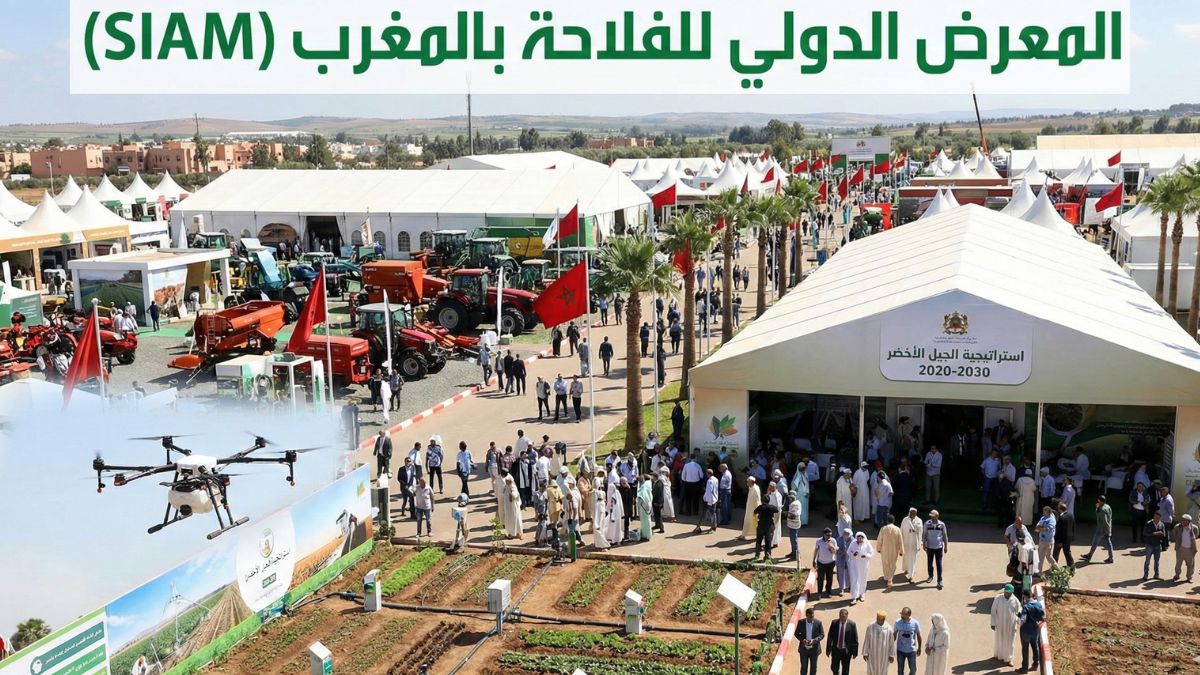 المعرض الدولي للفلاحة بمكناس