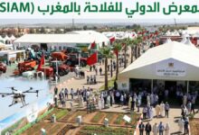 المعرض الدولي للفلاحة بمكناس