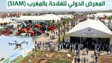 المعرض الدولي للفلاحة بمكناس