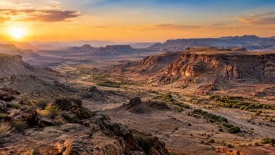 هضبة نجران